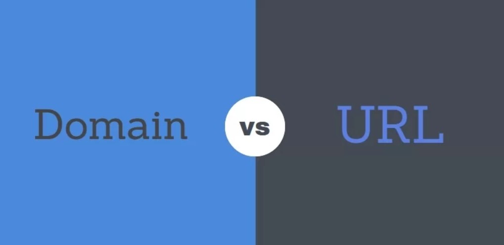 Domain vs URL: Understanding The Similarities and Differences